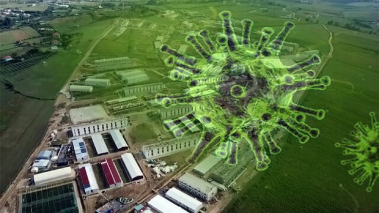 انتشار سلالة کورونا البريطانية داخل مخيم مجاهدي خلق في ألبانيا