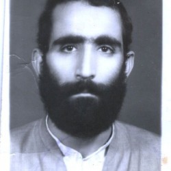 kamyab 2