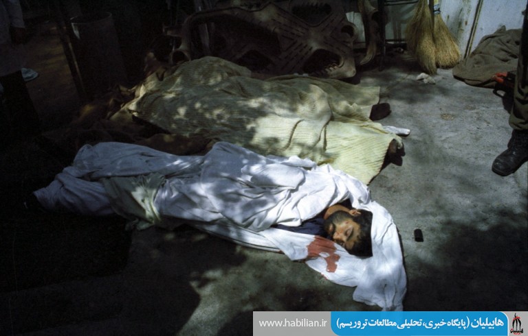 150349435028007200