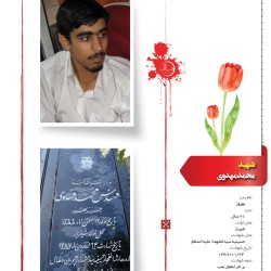                             01 copy8