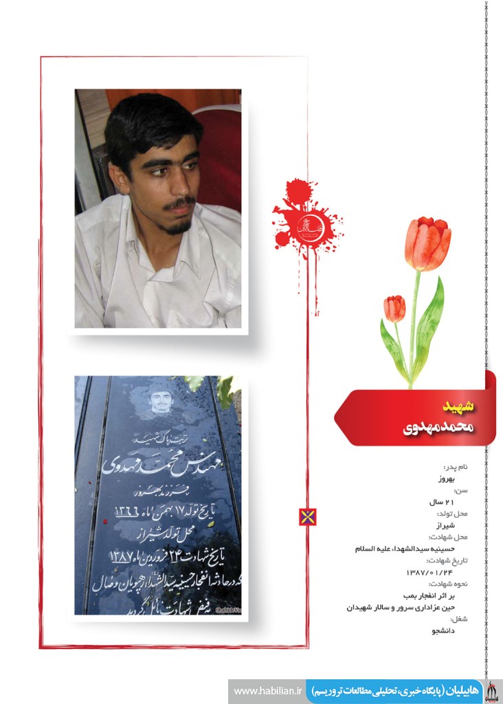                              01 copy8
