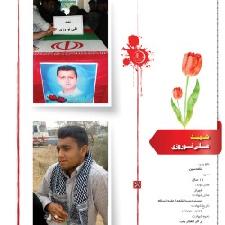                               01 copy8