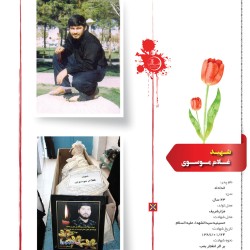                               01 copy9
