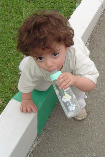 Negin Negin