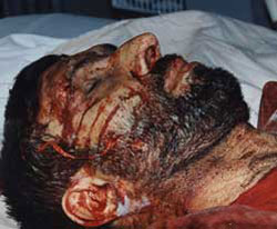 Sayad3 Sayad3