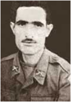 Morseli