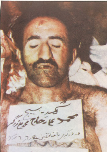 Shahid Zargar02