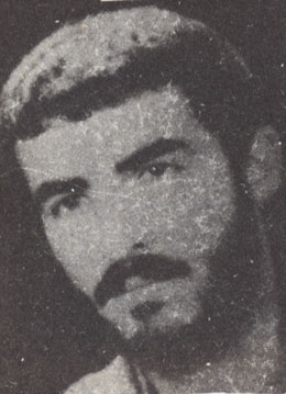 Shahid Zolfaqari