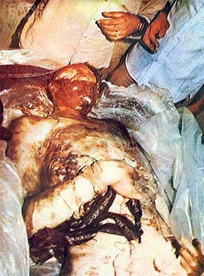 Shahrokh Shahrokh