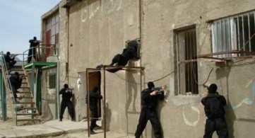 25101101005641 Org800nsp 100