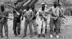 78247bea50b64ed9893270654646b675nsp 217